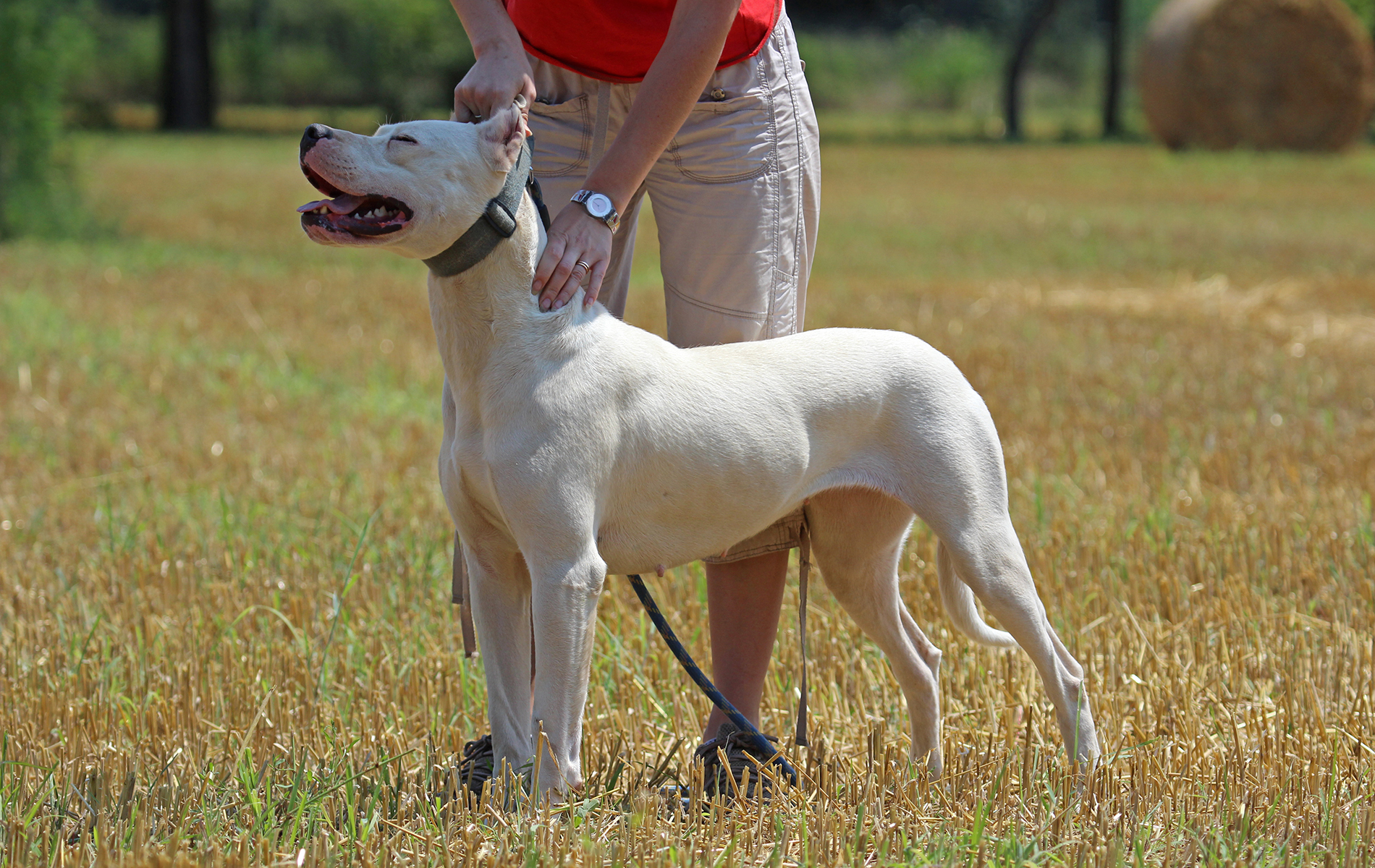 Blanca Dos de la Cocha
