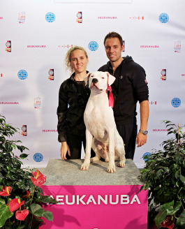Europeo Dog Show Repubblica Ceca Brno 2014