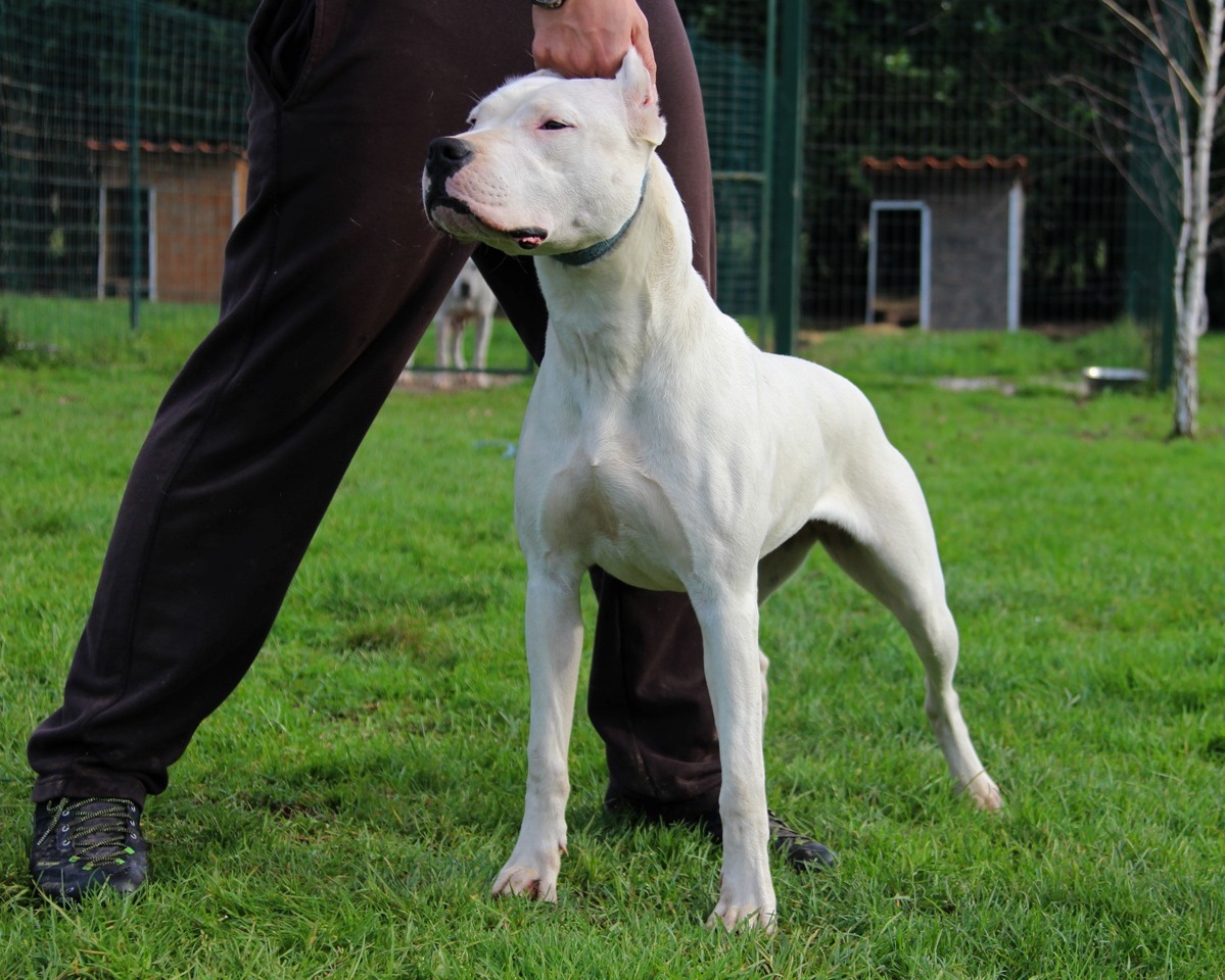 Malicia Huinka (Macho del Picadero X Huinka del Picadero)