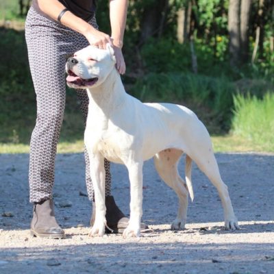 Carmela de la Brancada